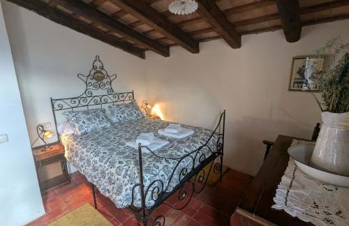 CAN QUEL - Escapada a la natura - Foto 10