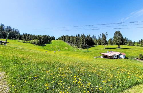 Apartment Fewo Knöpfle by Interhome - Foto 11