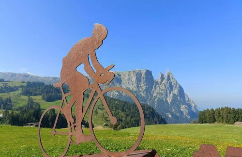 Gosthof Kastelruth - Foto 21