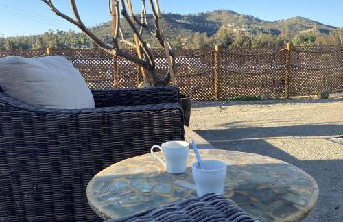 Artsy Airstream for a California Glamping Weekend near San Diego - Foto 29