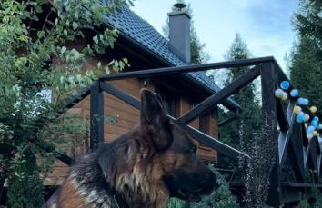 Lawendowy Domek TP - Foto 6