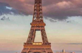 Jungle Chic - Foto 26