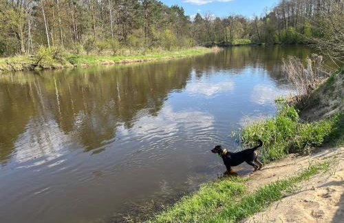 Spalskie Pokoje Gościnne - Foto 17