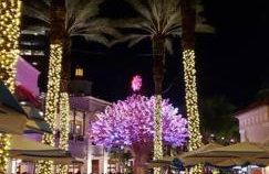 OCEAN VACATION BREEZE - Foto 67