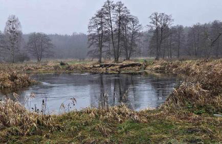 Dom za wydmą - Foto 53