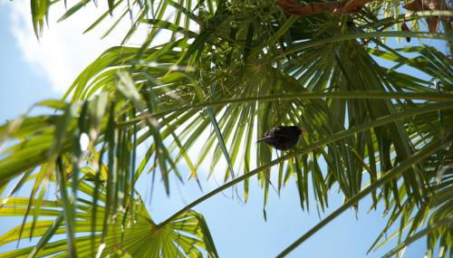 Agriturismo Albarello - Foto 2