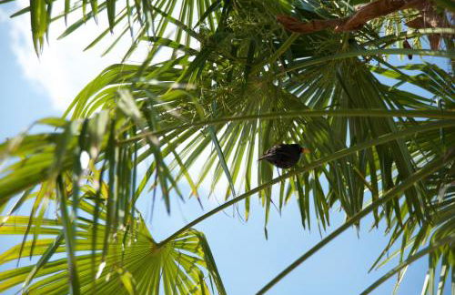 Agriturismo Albarello - Foto 2