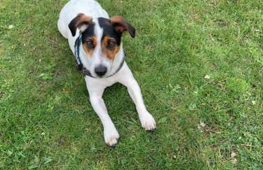 Bay Tree Lodge: Lakeside lodge w/hot tub & cinema surround sound - Foto 28