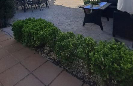 El Madroño de la Encantada - Foto 11