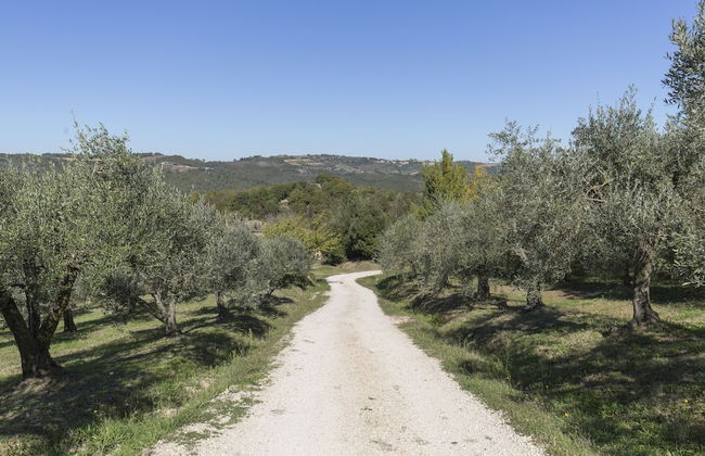 Podere le Corone - Foto 48