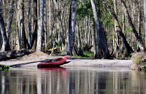 Unique Glamping Rental with Amazing Hiking Trails near Gainesville, Florida - Foto 7