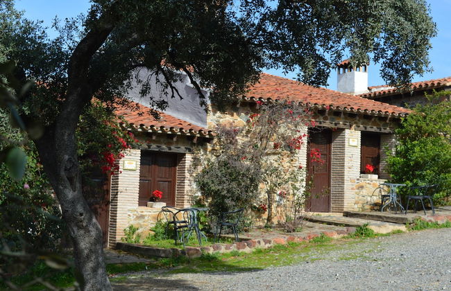 Finca Los Caleros - Photo 27