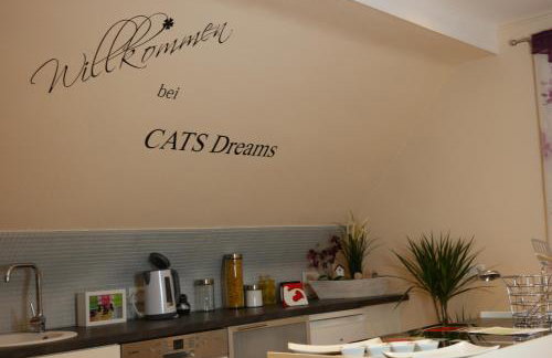 CATS Dreams - Foto 13