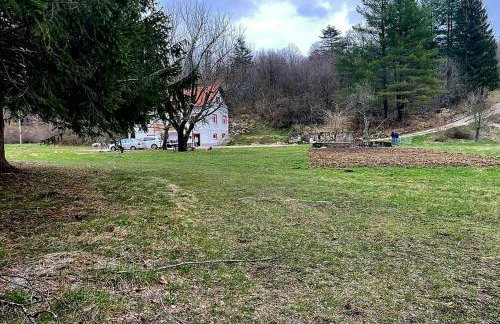 Villa Andjelija - Foto 38