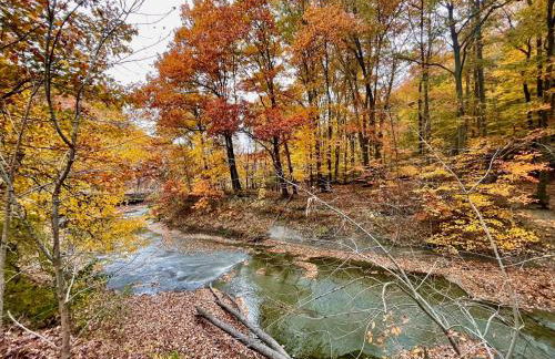 Log Cabin - Natures Oasis - Fire Pit & Gazebo - Foto 11