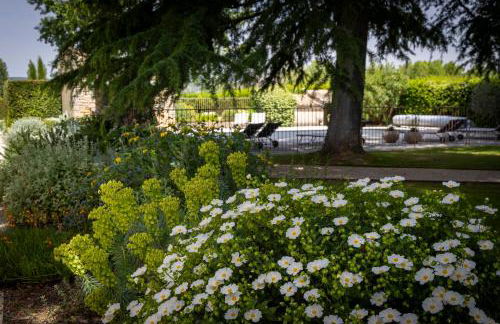 Mas des Cèdres - Photo 7