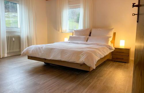 Apartment Sonnenglück im Schwarzwald with Panoramaview, Terrace, 3 Bedrooms - Foto 4