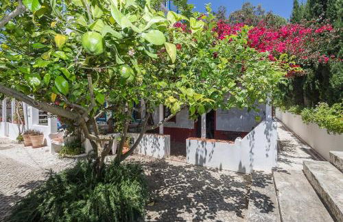 GuestReady - Horta do Mar - Foto 77