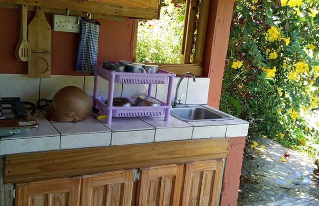 Berkey's Jungle Paradise - Photo 16