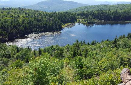 Deer Valley Retreat, Lovely Log Cabin with Fireplace & Garden Views- Perfect for a Relaxing Getaway! - Foto 2