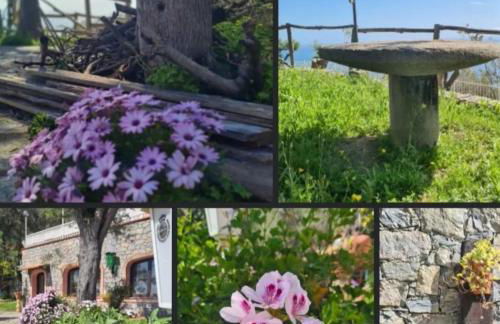 CASA OLEANDRO - Photo 50