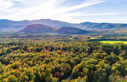 Minutes to Downtown & National Forest Ash Lodge - Foto 44