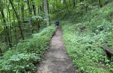 Timber Ridge Retreat - Foto 48