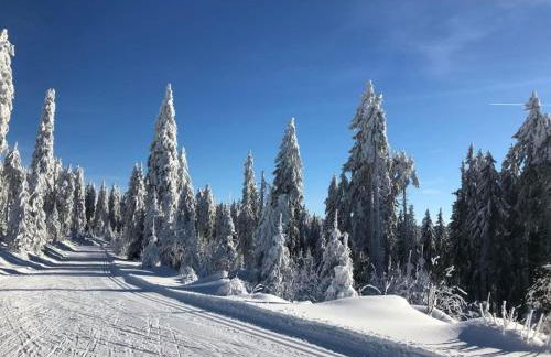 Apartment Wohnung in Bad Kötzting by Interhome - Foto 19