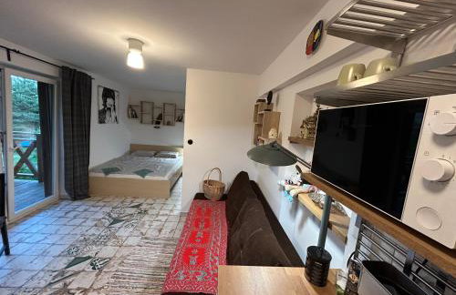 W górach nad strumieniem - Foto 10