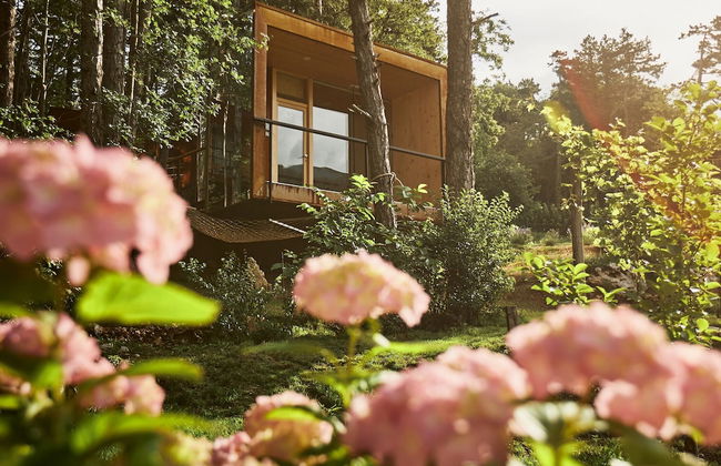 Theodosius forest village Vipava - Foto 38