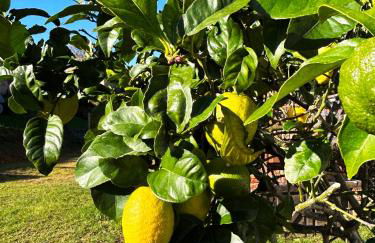 Apartamentos El Camino Resorts - Foto 36