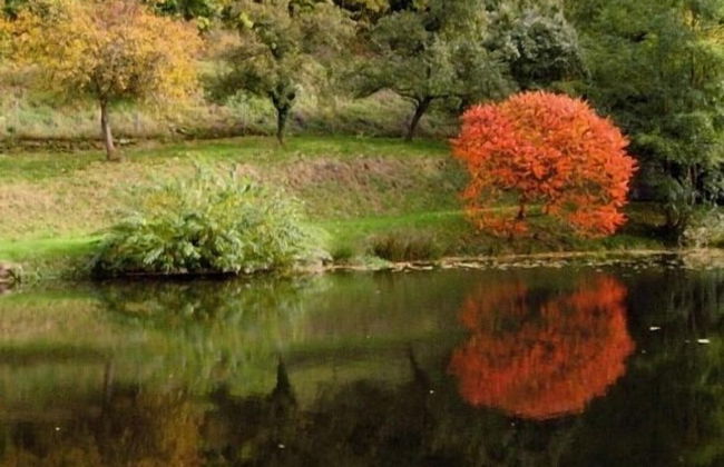 Appartements Maison Bellevue - Photo 39