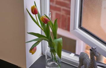 Beautiful 4 Bedroom - Close to QE Hospital & Uni - Photo 33