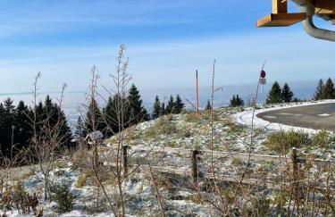 Blackforest Homestay Apartments - Foto 40