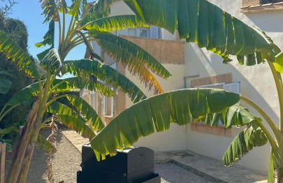 Bonaire Beach House - Foto 21