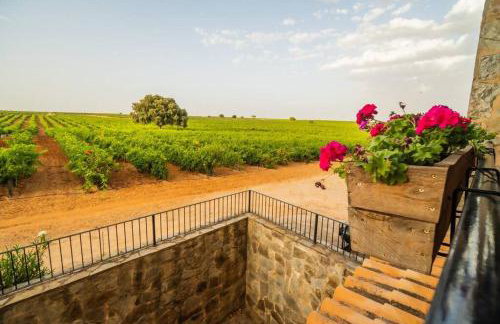 Casa Rural en Bodega. La posada de Vitis - Foto 13