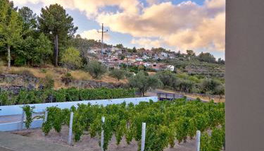 Raposa Verde - Agroturismo - Foto 5