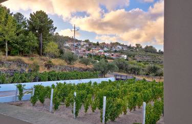 Raposa Verde - Agroturismo - Foto 5