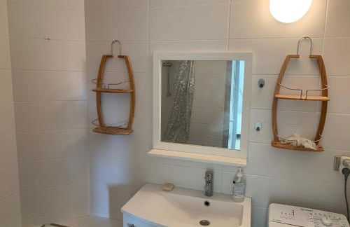 Le Green-Center, 2 pièces en Hyper Centre - Foto 7