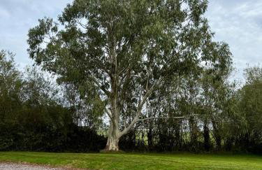 House Martin - Foto 40