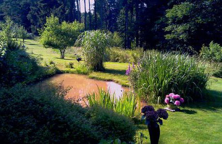 Apartment mit Burgblick im Grünen, Familie Held - Foto 14