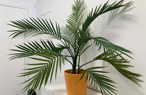 ZIMMERVERMIETUNG38 - Händel - Foto 15