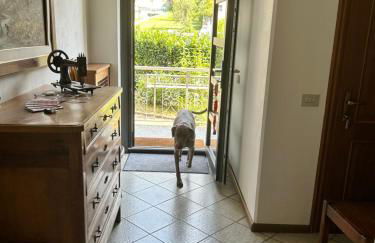 Valtellinda - Foto 37