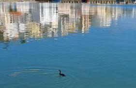 Casa Opuntia - Foto 67