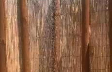 Casa vacanze villa Lido- Pangrazi Alessandra - Foto 16