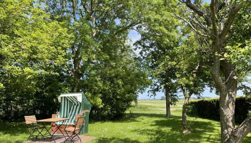 Gulfhof Butendiek - Groot Kostall - Foto 3, Garden view