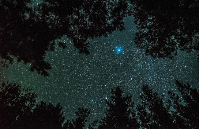 Cape Howe Cottages - Foto 60