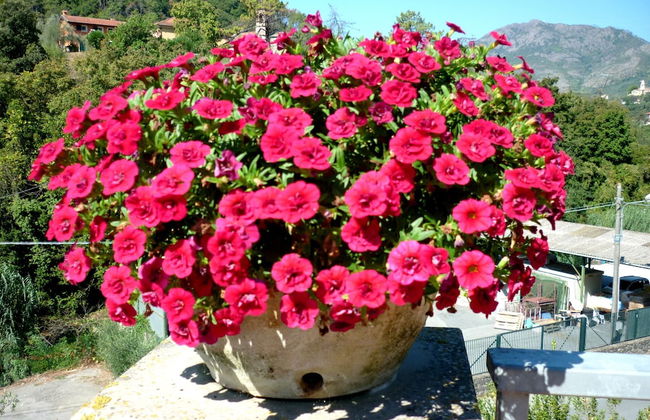 Resort Costa Morroni - Photo 65