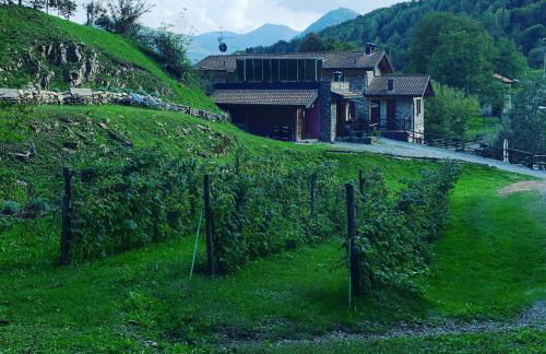 Agriturismo Il Talento Nella Quiete - Foto 76