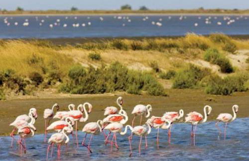 Port Horizon - T3 terrasse vue port climatisé piscine WIFI résidence Escale Port - Foto 15